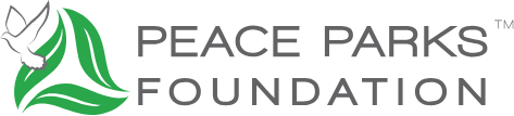 ppf logo